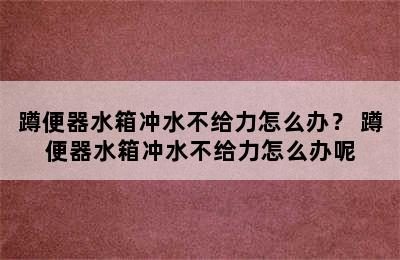 蹲便器水箱冲水不给力怎么办？ 蹲便器水箱冲水不给力怎么办呢